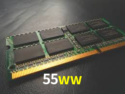 Bônus Diários 55ww